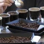 Café Expert