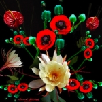 Jenny A