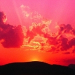 Fredrik Eriksson