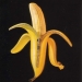Emily H