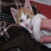 Simond