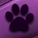 Puppyzack