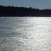 Solitarie
