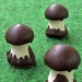 Fröken S