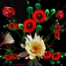 Jenny A
