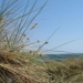 Bibchen