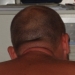 Pappisen