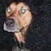Micke K