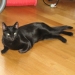 snubbelfot