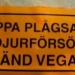 Terne Mejnå
