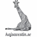 KajsaKavat