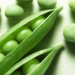 GreenPees