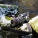 Fotografen Pär