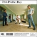 This Perfect Day