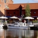 Cafekrogen