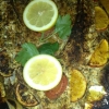Nu har sultan cafe & bar börjat med att servera hel grilla fisk :-)

för beställning ring mist 2 timmer innan 

Med vänlig hälsning, 
Sultan cafe & bar med personalen