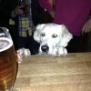 Fyllehund i baren...