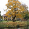 Hösten 2012