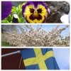 Trevlig Valborg önskar vi på Töreboda Camping alla våra Gäster! 
Onsdag till fredag har receptionen öppet 9 - 19, lördag och söndag 9 - 18. 
Välkomna :)