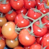 Världens godaste tomater från gårdsbutiken på Tomatens hus