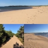 Bild från Lynga Beach av @globtroto - Halmstad har många fina sandstränder, populära Tylösand (Per Gessles hotell/restaurang/party komplex), softare Frösakull (Gamla rally Prins Bertil hade sommarhus där och bar mig som barn flera gånger på sin axlar ner 