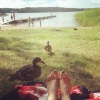 Bild från Skrubbabadet av @sarahsofo - #sommar #bad #strand