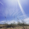 Bild från Stugan, Bästkusten av @caroline.scheler - Oh yes. Till slut kom solen och värmen!! 1,5 vecka semester kvar! Har fortfarande hopp om sommaren! #pressa #sola #bada #pinacolada