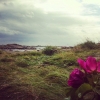 Sommar, sol och salta vindar!
Kom ut och fira sommar-/onsdags- och våffelkväll med oss kl. 18.30.
Kluriga tipspromenadfrågor, frasiga våfflor och vacker musik utlovas!
Välkommen!