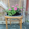 En äkta Thonet med blomtsersits. Zink about that!