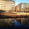 Förra veckan var det så här soligt och fint på morgonkvisten. Vad hände våren? Kom tillbaka!