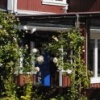 Bilder från Café August