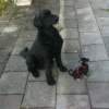Albin & Enya