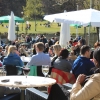 Sommar i underbara Slottskogen på Villa belparc