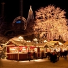 Idag öppnar Jul på Liseberg igen! Öppettiderna för helgen: fredag 15-22, lördag 13-22 och söndag 13-20. Varmt välkomna!