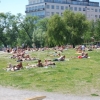Luxparken, restaurang Lux veranda bortom träden till höger.
