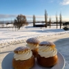 Semla i solen