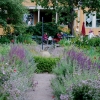 Stora Henriksviks café med trädgården
