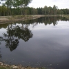 Egen sjö i närheten med inplanterade foreller vi säljer fiskekorten.
