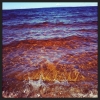 Bild från Skagern av @frkjones - Lääänge sedan jag badade i Sverige (3 år) dax idag? #vacation #skagern