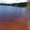 Bild från Vitsand Strand av @gnalslein - #trolls left their #teabag in #vitsand #lake #sweden. #brown but clean #swimmingwater