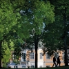 Parken med herrgården i bakgrunden.