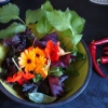 Härlig blomsallad från trädgården