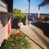Sol igen! Varför inte passa på med en lunch i sjömiljö?! :)