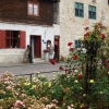  Rosas cafe´ på S:t Hansgatan i Visby.
