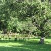 Äppellunden