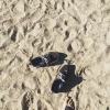 Bild från Hässelbys Strandbad av @radiohusen - Att springa och sedan avsluta med ett dopp i det blå 