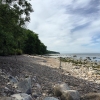 Bild från Paulins Brygga av @thedarcolife - Visited the beautiful stone beach of Båstad today 