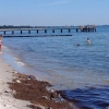 Idag sommar och sol! Många besökare på stranden! Badtemperatur är + 16 gr och det är flera som tar sig ett dopp!