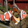 1/2 priset på Nemo