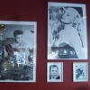 Elvis min favorit.